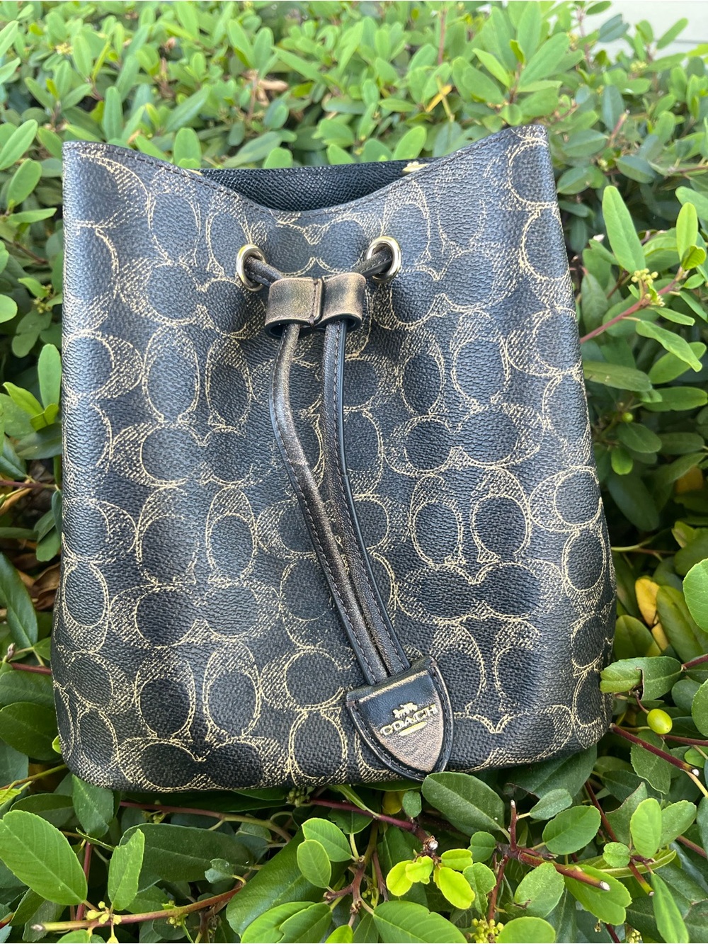 COACH Rowan Bucket Bag Loved Signature Canvas CDY21 Brown